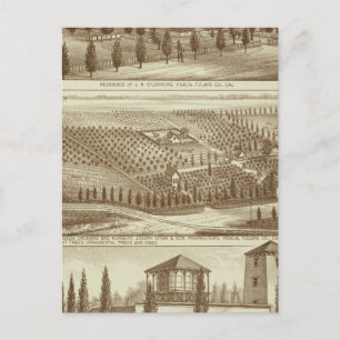 Bosättning, plantskoleverksamhet, stall, Visalia, Vykort