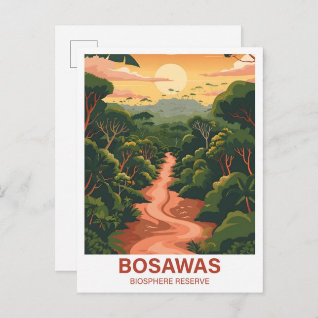 Bosawas biosfärreservat Nicaragua Travel Vykort (Fram/baksida)