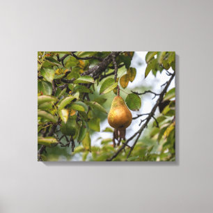 Bosc Pear på Träd Canvastryck
