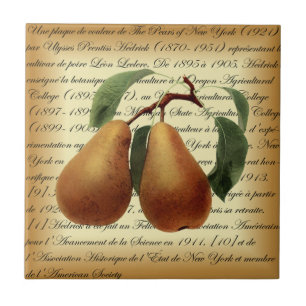 Bosc Pears~Léon Leclerc~Ulysses Prentiss Hedrick~ Kakelplatta