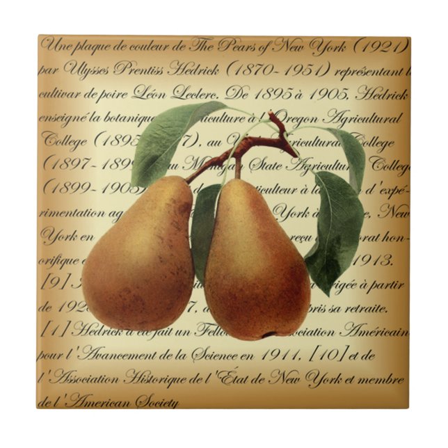 Bosc Pears~Léon Leclerc~Ulysses Prentiss Hedrick~ Kakelplatta (Framsidan)