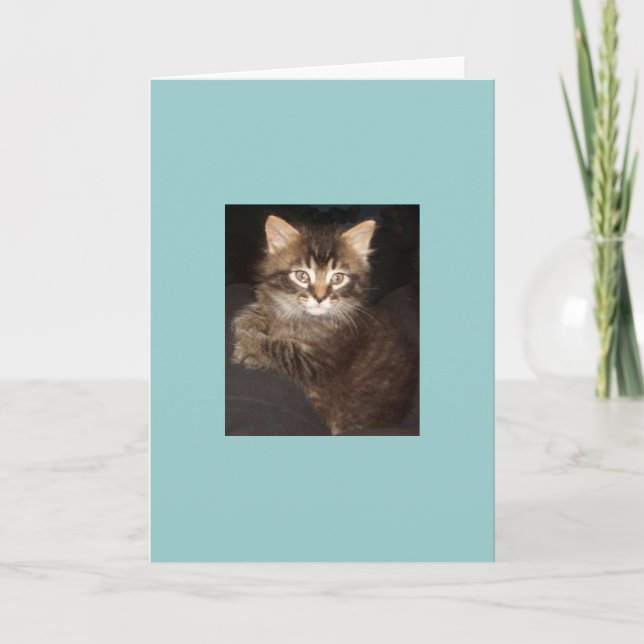 Bosco Kort (Framsida)