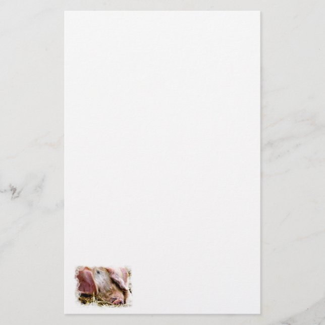 BOSKAP, GRISAR BREVPAPPER (Framsida)