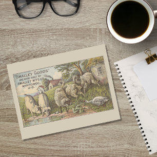 Boskap Reklam Ephemera Vykort