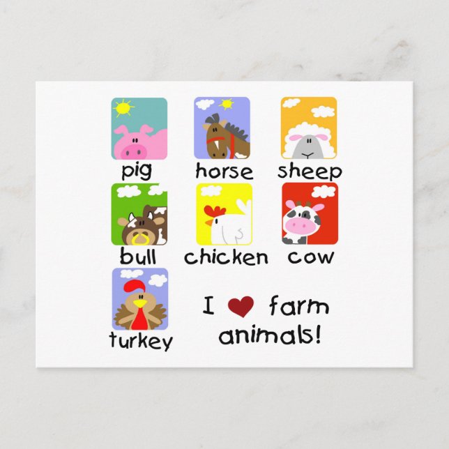 boskap Tshirts och presenter Vykort (Framsida)