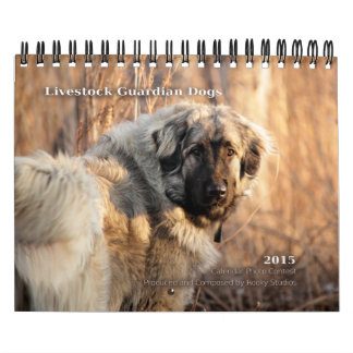 Boskapförmyndaren förföljer lilla 2015 kalender