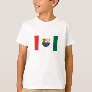 Bosnien Hercegovina Federationsflagga T Shirt