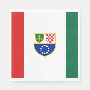 Bosnien Hercegovinas federationens flagga Pappersservett