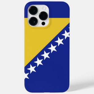Bosnien och Hercegovina-flagga