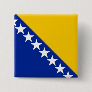 Bosnien och Hercegovinas flagga Knapp