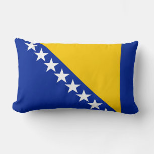 Bosnien och Hercegovinas flagga Lumbarkudde