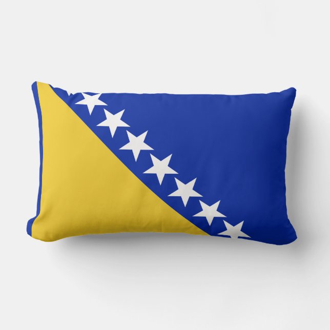 Bosnienflagga Lumbarkudde (Framsida)