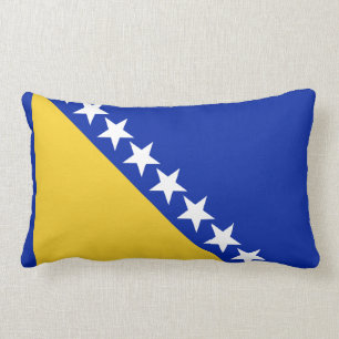 Bosnienflagga Lumbarkudde