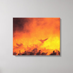 Bosque del Apache National Wildlife Refuge, NM Canvastryck