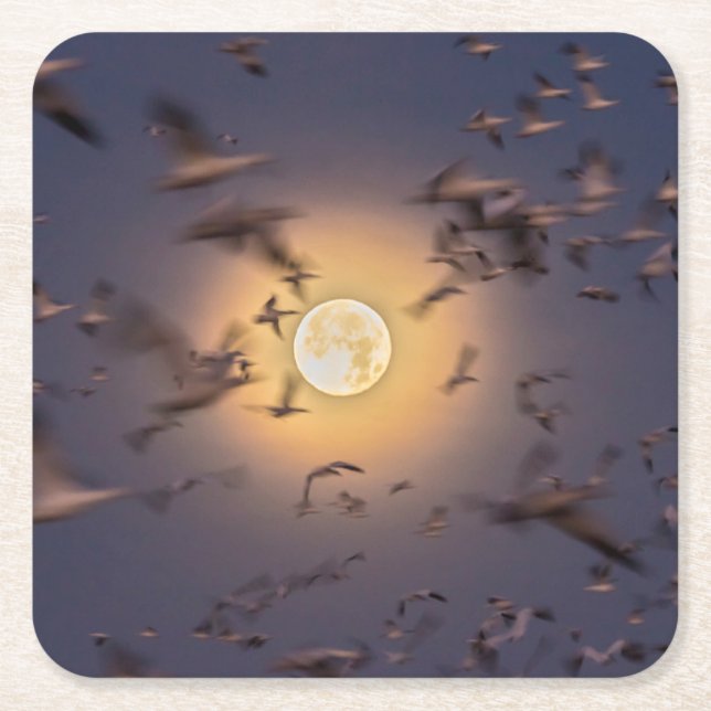 Bosque del Apache National Wildlife Refuge Underlägg Papper Kvadrat (Framsidan)