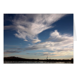 Bosque del Apache, New mexico Hälsningskort