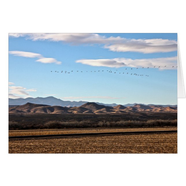 Bosque del Apache, New mexico Hälsningskort (Framsidan Horizontal)