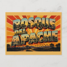 Bosque del Apache New Mexico Våtmarker Flod Konst