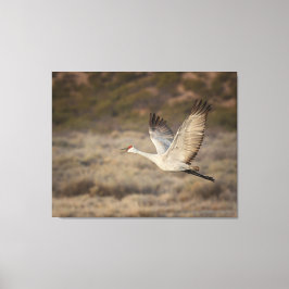 Bosque del Apache NWR Canvastryck