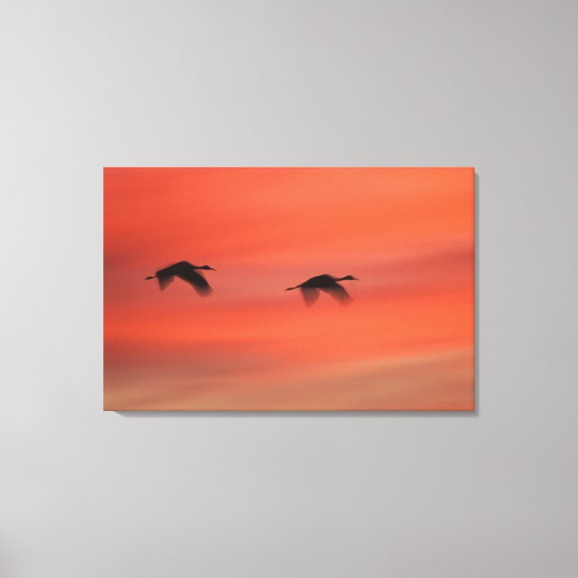 Bosque del Apache Wildlife Refuge | NEW MEXICO Canvastryck (Framsida)