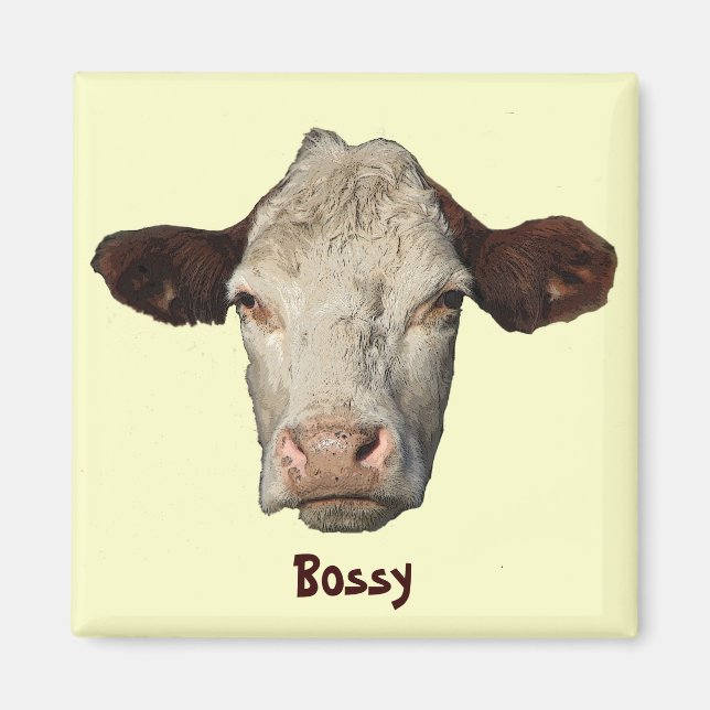Bossy the Cow Magnet (Framsidan)
