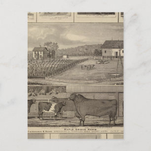 Bostäder, byggnad och kyrkor vykort