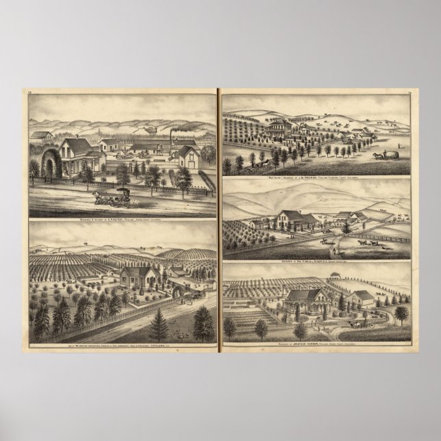 Bostäder för CP Hatch, Wm Sexton, JM Freeman Poster (Framsidan)