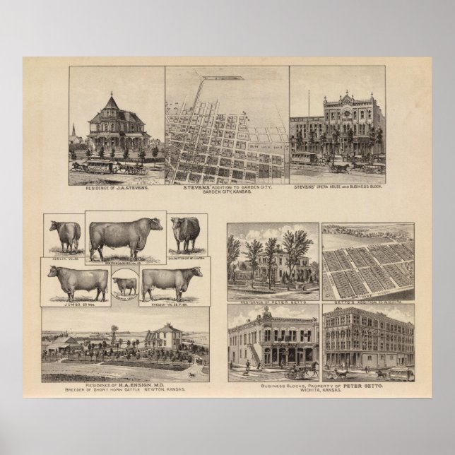 Bostäder i Kansas Poster (Framsidan)