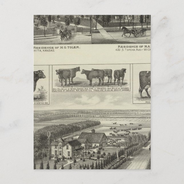 Bostäder och Lagrar Farm, Wichita, Kansas Vykort (Framsida)