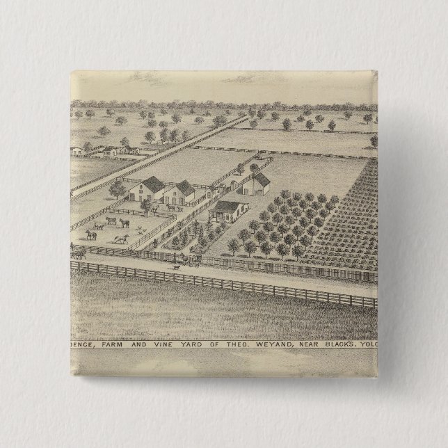 Bostäder, Svarta Station Knapp (Framsida)