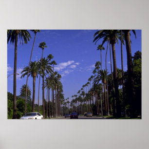 Bostads- Rodeodrev, Beverly Hills, Kalifornien Poster