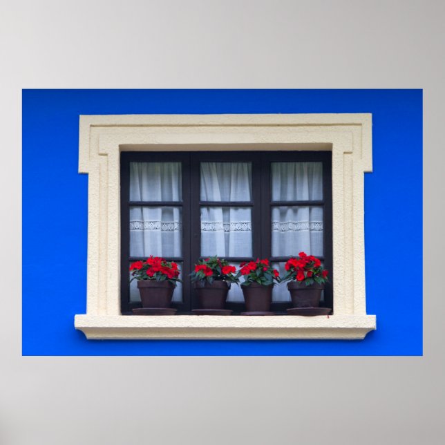 Bostadshus med blommor i fönstren poster (Framsidan)