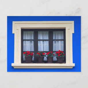 Bostadshus med blommor i fönstren vykort