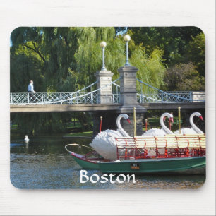 Boston allmänhetträdgård musmatta