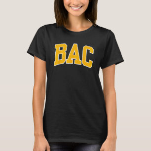 Boston Architectural College Arch 02 T Shirt