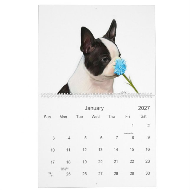 Boston babyar 2 kalender (Jan 2027)