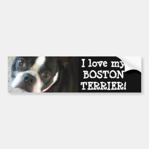 BOSTON bildekal