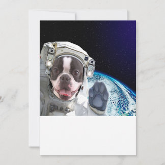 Boston |Boston Gifts | Boston Älskare