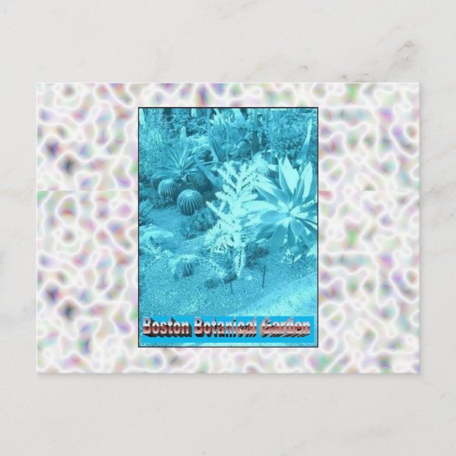Boston Botanical Gardens Vykort (Framsida)