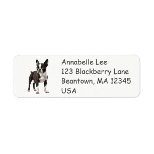 Boston Bull Terrier Returadress Etikett