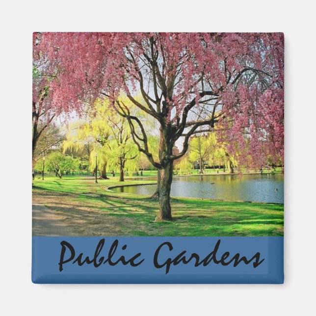 Boston Common Magnet (Framsidan)