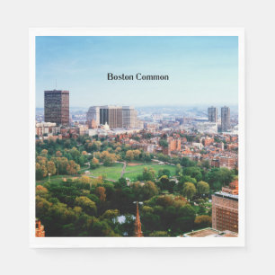 Boston Common, offentlig park Pappersservett