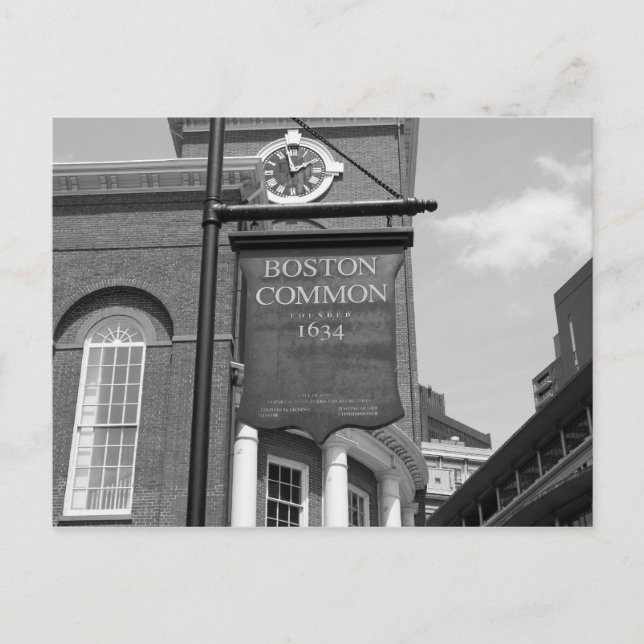 Boston Common Postcard Vykort (Framsida)