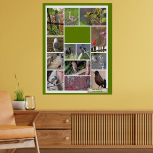 Boston-fåglar Poster