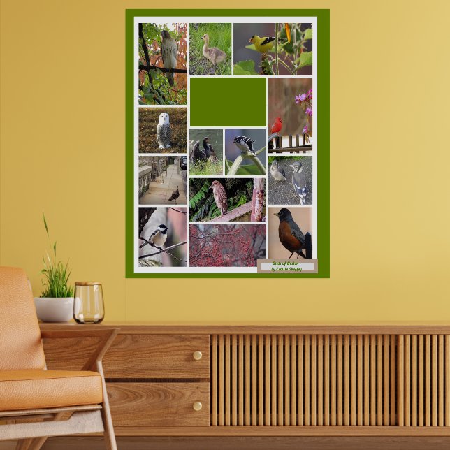 Boston-fåglar Poster (Vardagsrum 2)