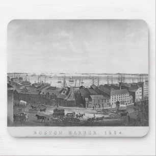 Boston hamn, 1854 musmatta