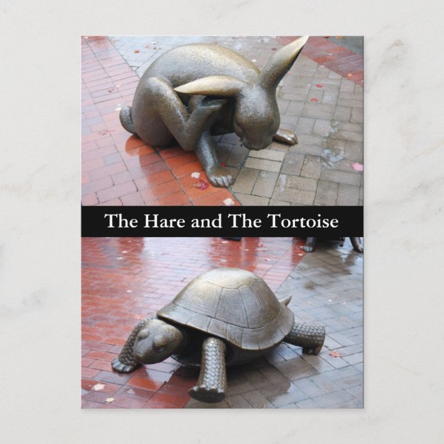 Boston - Hare och Tortoise Vykort (Framsida)
