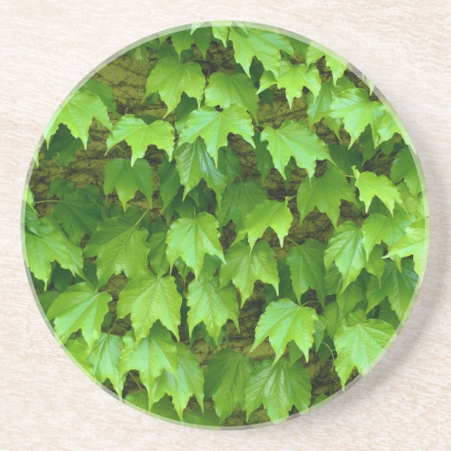 Boston Ivy Underlägg (Framsidan)