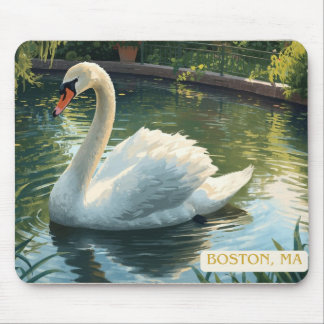 Boston, Mass. Public Garden Svanmusmatta Musmatta