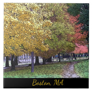 Boston, Massachusetts Fall Foliage Kakelplatta